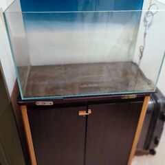 ADA60センチ水槽2個　水槽台.ライト.外部濾過フルセット　美品！お買い得！ ADA 60cm水槽 ライトスクリーン 水槽台 LEDライト 外部フィルター セット