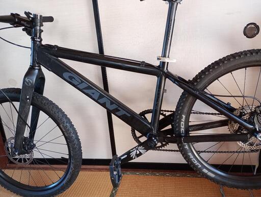 ジャイアントxcx se