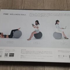 半額以下！FINCバランスボール10個セット　ウェルネスボール