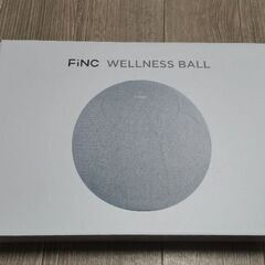 半額以下！FINCバランスボール10個セット　ウェルネスボール
