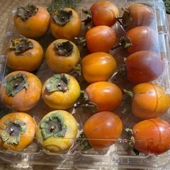 渋柿と甘柿１６個セット本日収穫分熟気味