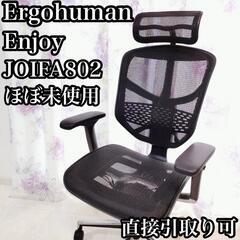 Ergohuman ENJOY EJ-HAM KM-11　エルゴ...