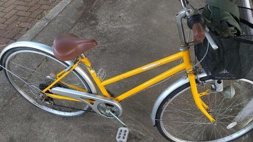 自転車️