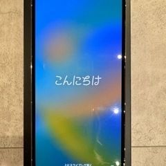 極美品！】iPhone 13 Pro Max 256GB シルバー SIMフリー