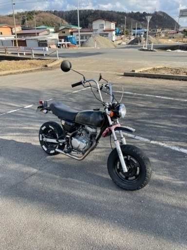 ape50 買っていただける方いませんか？