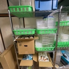 停止中　カブクワ飼育用品多数お得