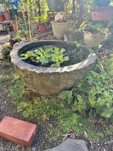 水瓶