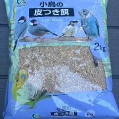 セキセイインコ　餌