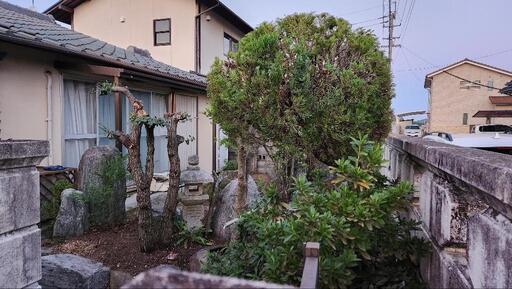 庭木の剪定、伐採、抜根、除草等お庭のお困り事を解決致します。まずはお見積りさせて頂きます。ご依頼お待ちしております。