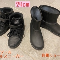 24cm （スニーカー、長靴ショート丈 ）あげます