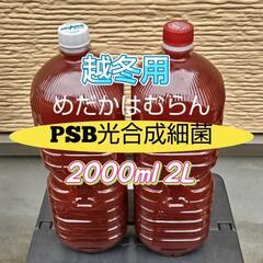 ★越冬用　PSB光合成細菌2000ml（2L×1本）【1】　