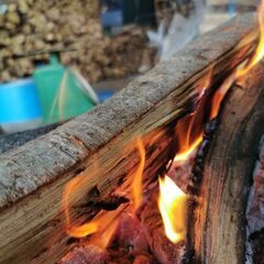 🔥🔥🔥樫の木薪🔥🔥🔥