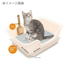 獣医師開発　猫トイレ