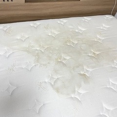 サータ　クイーンベッド&マットレス