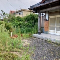 八代市鏡町の草取り手伝ってください。