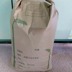 栃木県産 令和5年 新米コシヒカリ玄米３０ｋｇ