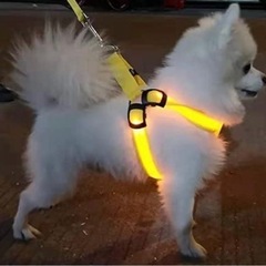 犬 猫用 LED 光る ハーネス 3,500円　