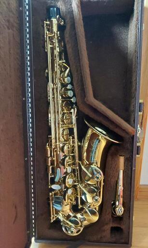 ユーフォニアム】SELVA Euphonium SELVA SEP-100GL