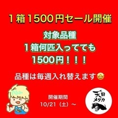 10/21〜開催！！