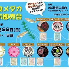 改良メダカ展示即売会