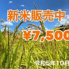 令和5年 新米 30キロ 香るように芳醇な味 あいちのかおり