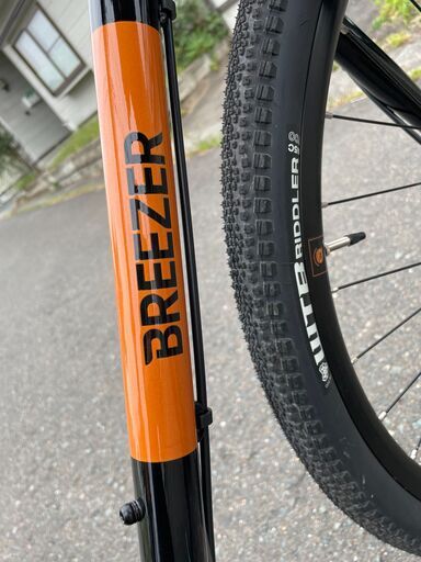 【希少品】自転車 ブリーザーバイク 2018モデル #2