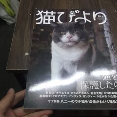 猫びより 2023年秋号 [consumer_magazine]...