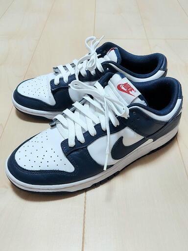Nike Dunk Low Valerian Blue ナイキ ダンクロー バレリアンブルー 27.5 DD1391-400