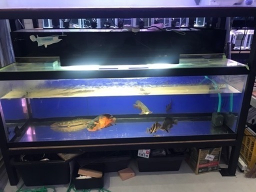お譲り先決定‼️1800水槽　熱帯魚　水槽用品　水槽機材