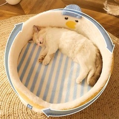 猫ベッド　ペットベット