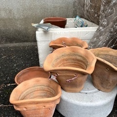 かけるタイプの鉢と置き型鉢数個