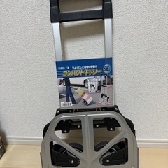 受け渡し予定者あり　コンパクトキャリー　新品