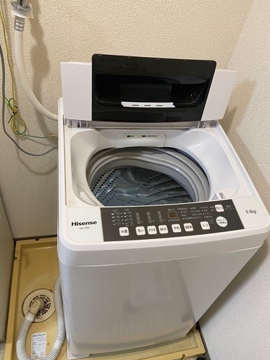 ハイセンス 全自動 洗濯機 5.5kg HW-T55C