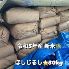 残りわずか‼️令和5年度産新米🌾ほしじるし米⭐️30kg 