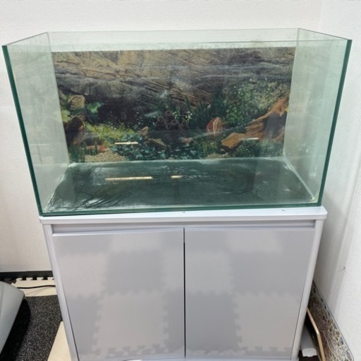 90センチ水槽