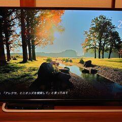 IODATA　LCD-M4K431XDB　43インチ4Kモニター