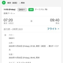 【ネット決済・配送可】ジェットスター　成田(東京)→熊本　航空券