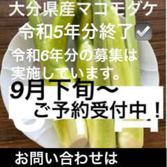 マコモダケ‼︎ 令和5年分は終了しました💦