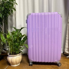 決まりました。大きいスーツケース