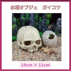 【人気商品】ハロウィン ガイコツ 水槽 オブジェ スカル 新品 ...