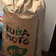 古米　玄米　30キロ