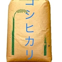 R5年新米 三次市産コシヒカリ　　(玄米)30kg 農薬・化学肥...