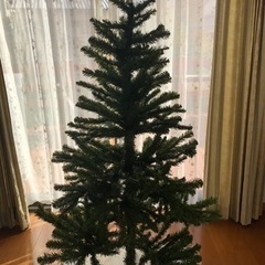 クリスマスツリー！差し上げます