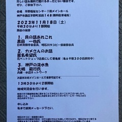 元ペットショップ店長にして愛亀家の匿名希望氏(亀69種300匹飼...