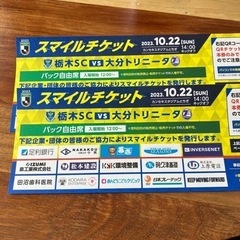 栃木SC vs 大分トリニータ バックスタンド自由席 2枚