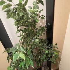 【観葉植物（造花）】