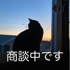 【ネット決済・配送可】猫用　腎臓サポート　スペシャル　ドライ