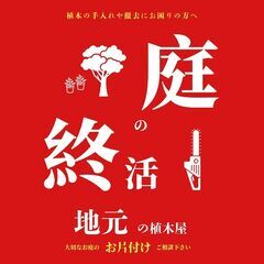 【草加】地元に強い！対応最速の植木屋さん【抜根/伐採/庭の終活】