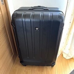 大型スーツケース　LL〜3L 7泊以上にぴったり♪