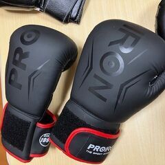 ボクシング　初心者セット　6か月使用